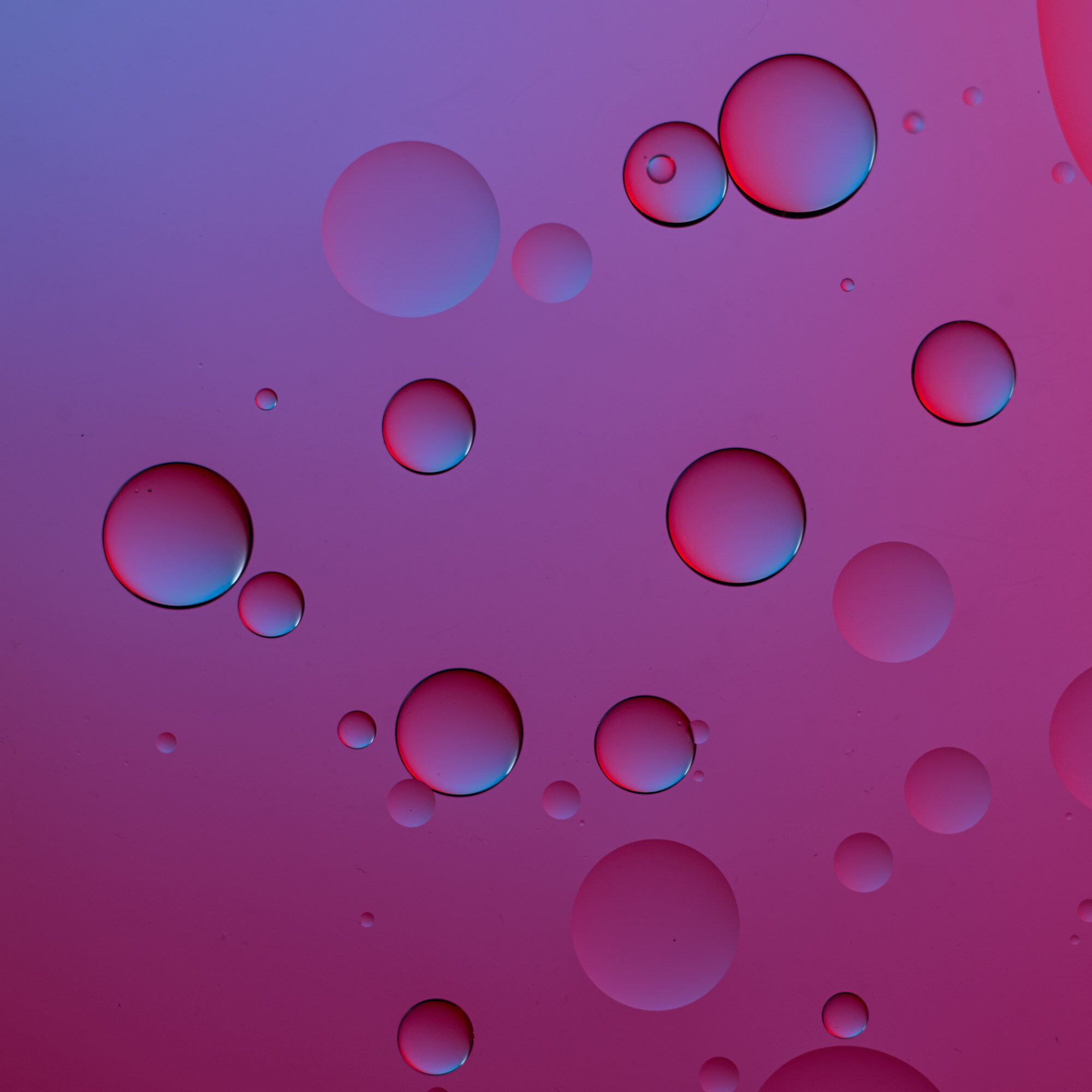 Keith-Krick—2021_04_11_Oil_Test_050