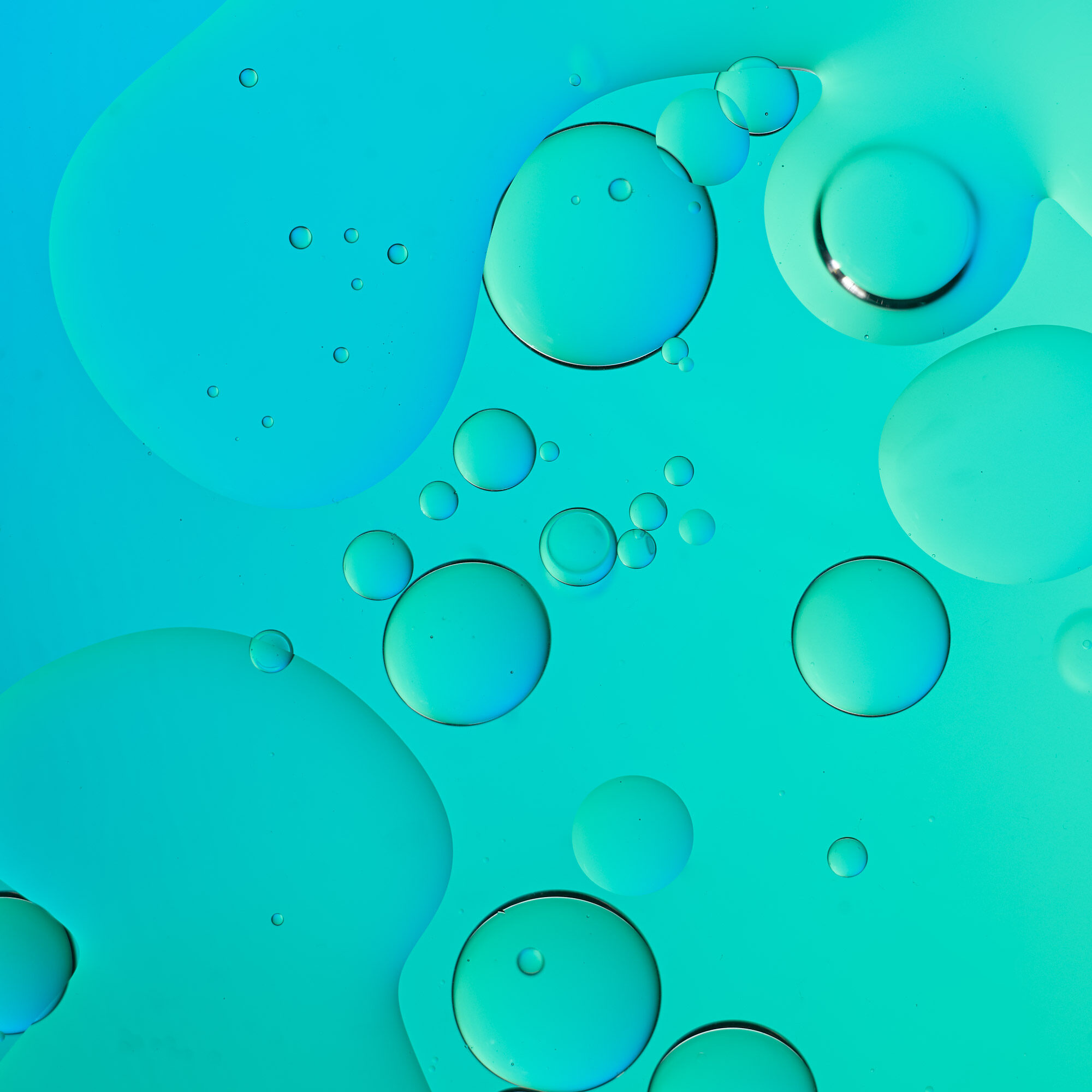 Keith-Krick—2021_04_11_Oil_Test_095