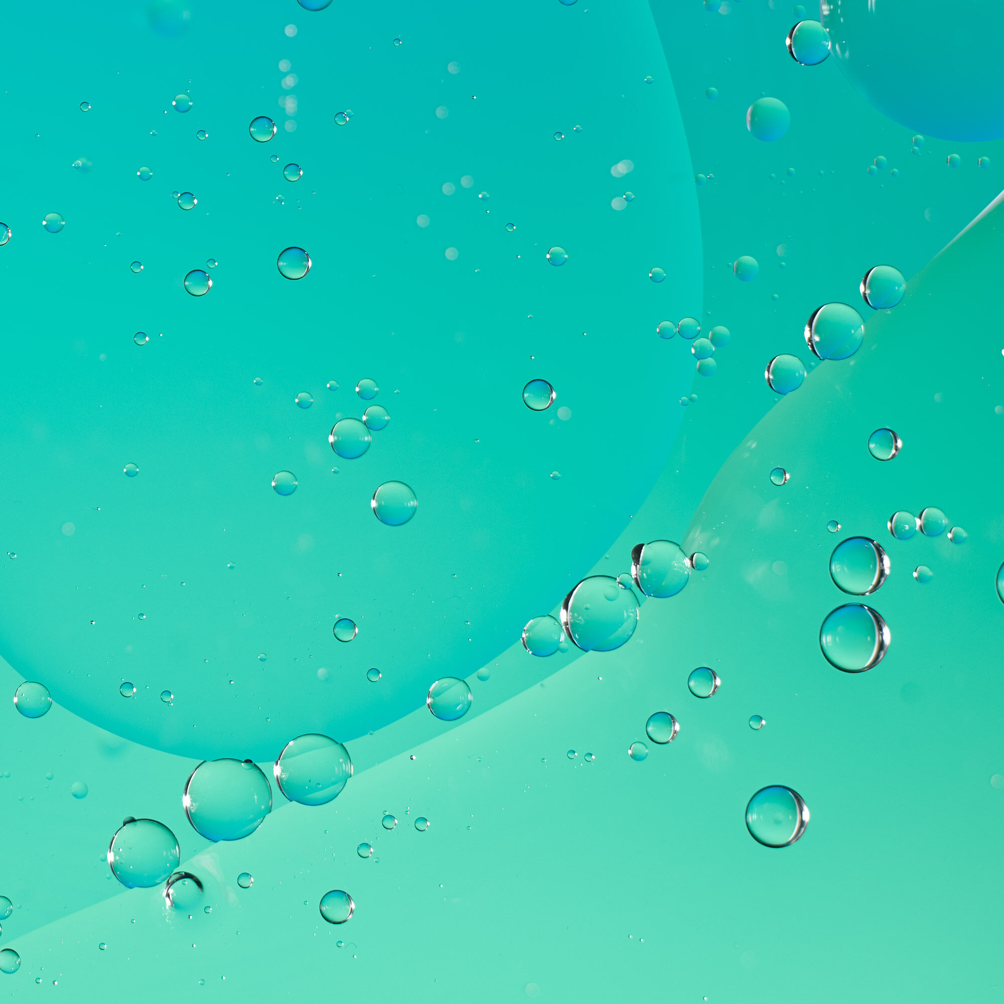 Keith-Krick—2021_04_11_Oil_Test_099