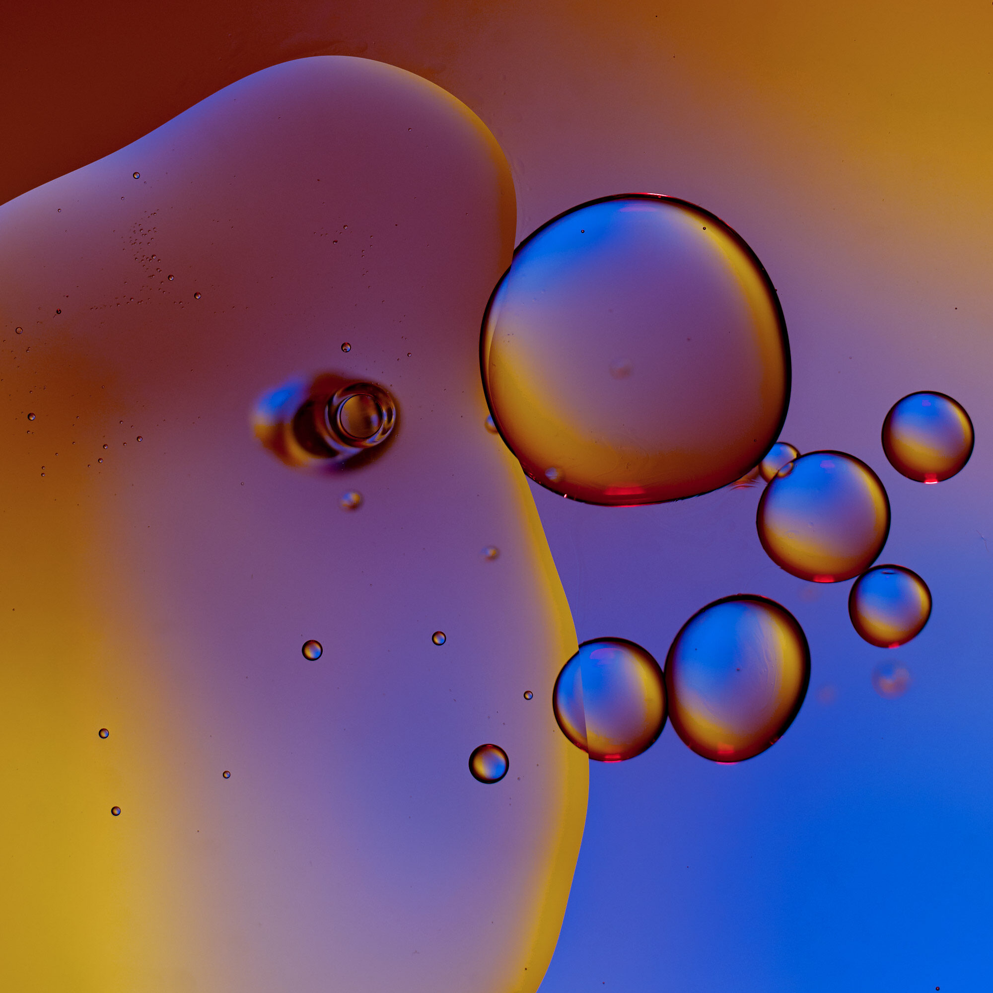 Keith-Krick—2021_04_11_Oil_Test_143