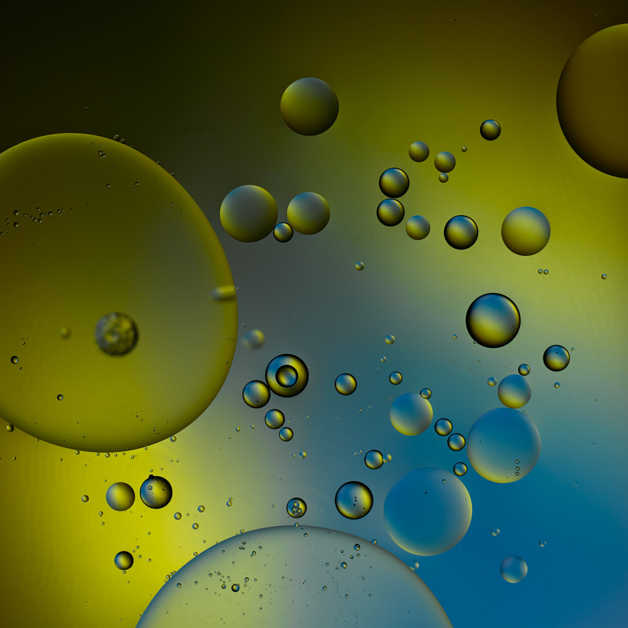 Keith-Krick—2021_04_11_Oil_Test_150