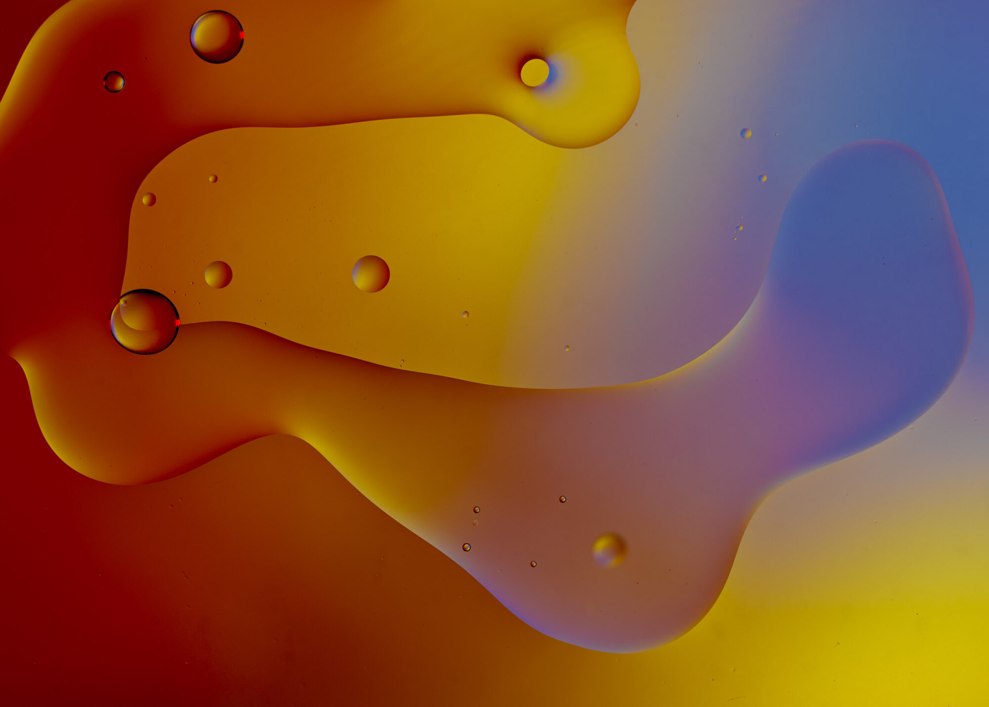 Keith-Krick—2021_04_11_Oil_Test_155