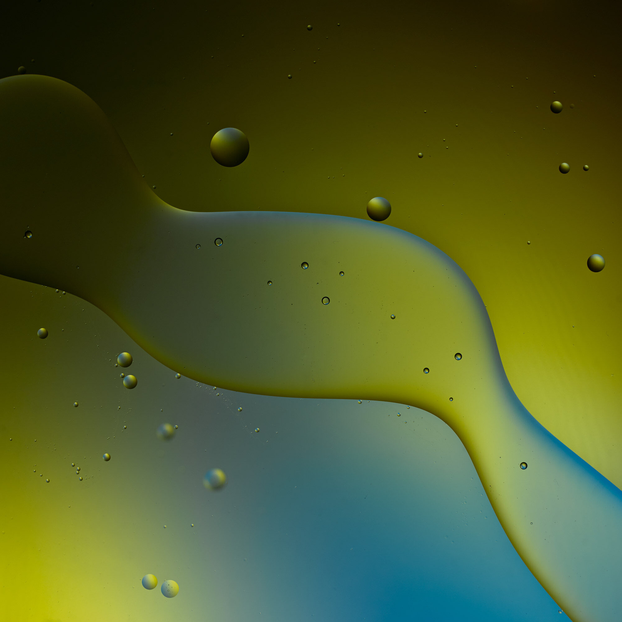 Keith-Krick—2021_04_11_Oil_Test_157