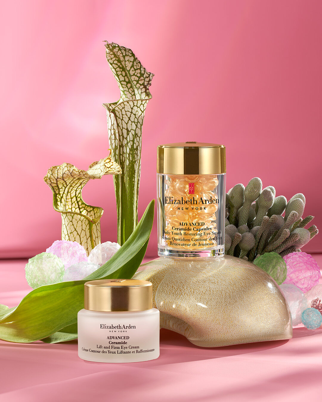 A_339524566_1274669110145645_2673296987663996493_n